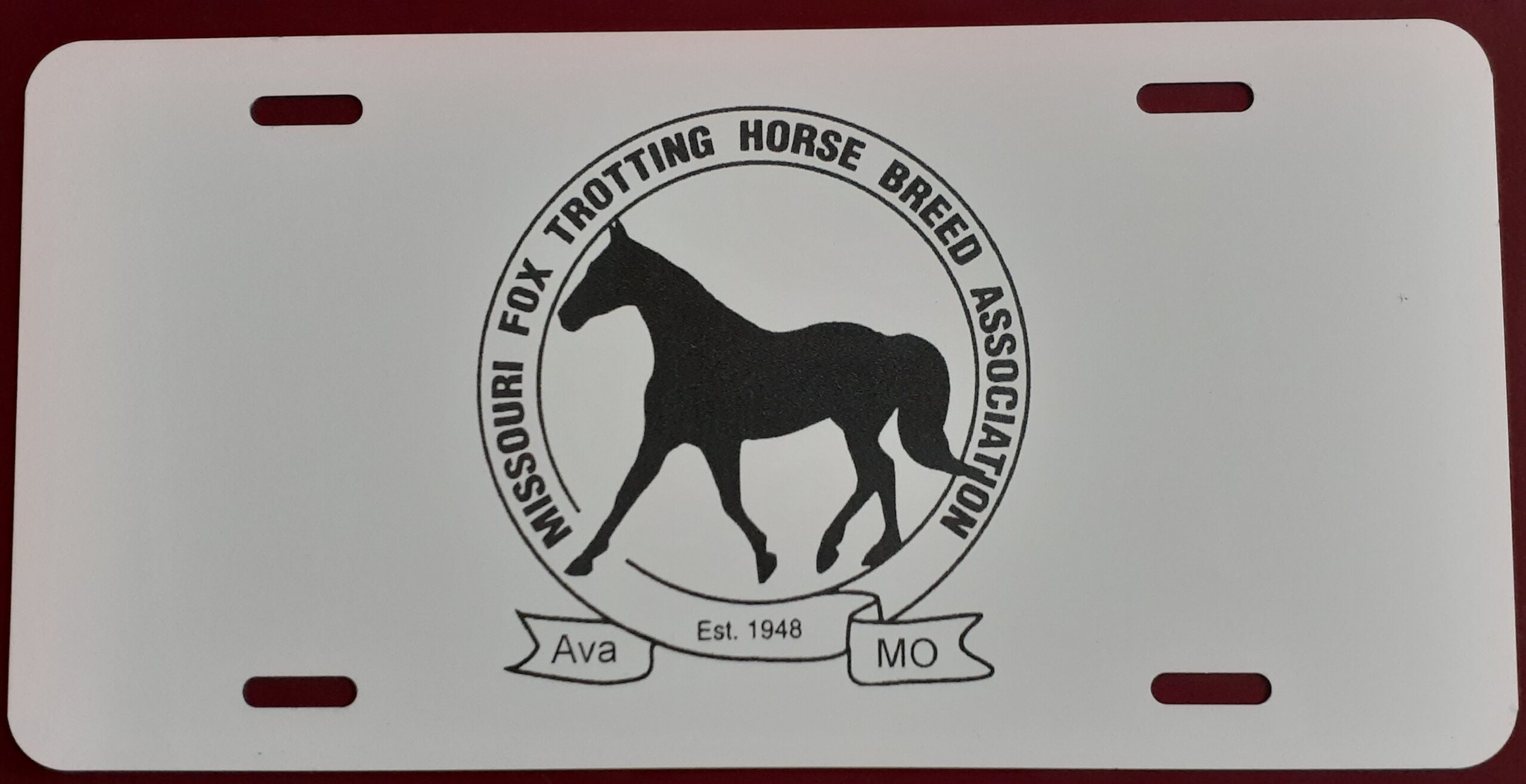 Logo License Plate