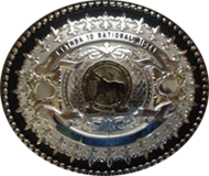 After participating in just 10 National Trail Rides, MFTHBA members will earn a beautiful 10 Ride Buckle from Montana Silversmith.