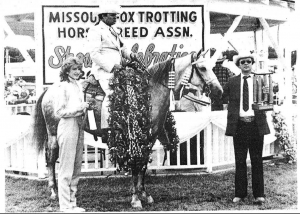 Bo’s April Charm, with Jerry Middleton up, wins the 1984 World Grand Championship.  The five-year-old grey mare is owned by Judy Middleton of Springfield, Mo.  Sired by Missouri Bo, out of a daughter of Merry Boy Sensation, Charm began her life as the odd colt nobody would buy from Jerry.  Under his tutelage Bo’s April Charm has had a brilliant show career.
