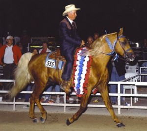 Clyde Connelly riding Southern Playboy