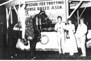 The 1987 Three Year Old Futurity Champion is Missouri’s Bobbie Sue, a sorrel mare out of Missouri Traveler E., by Zane Grey and Rox Ann by Mack K’s Yankee owned by Linda Juette of Quincy, Illinois and ridden by Geno Middleton of Nixa, Missouri. 