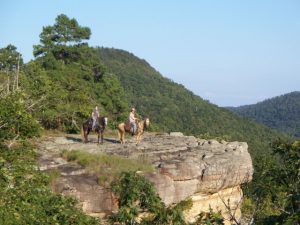 No matter where you ride, Top Trail and the MFTHBA will reward you for the hours and miles spent riding your Missouri Fox Trotting Horse.