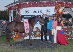 2015 Open Senior Model Mares World Grand Champion, Prince Jesters Queen of Diamonds.  Owned by Deanna Porter (Ava, MO) Exhibited by Wade Hightower
